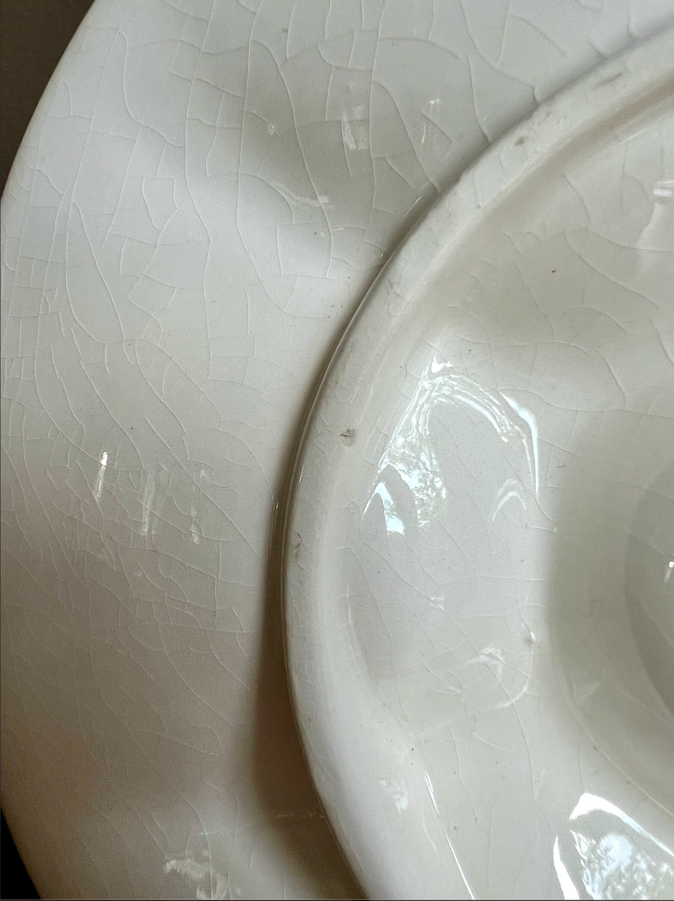 MCM Ceramic Sea Life Oyster Plate