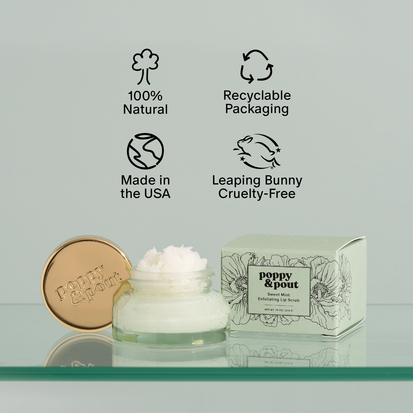 Sweet Mint Exfoliating Lip Scrub