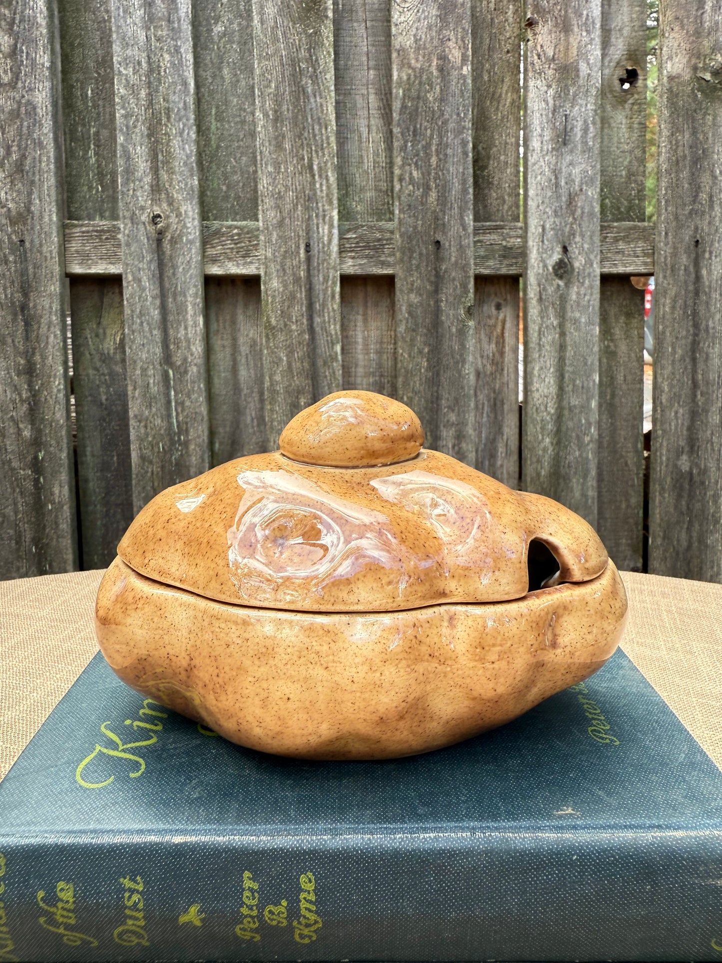 Potato Sour Cream Dish (1979)