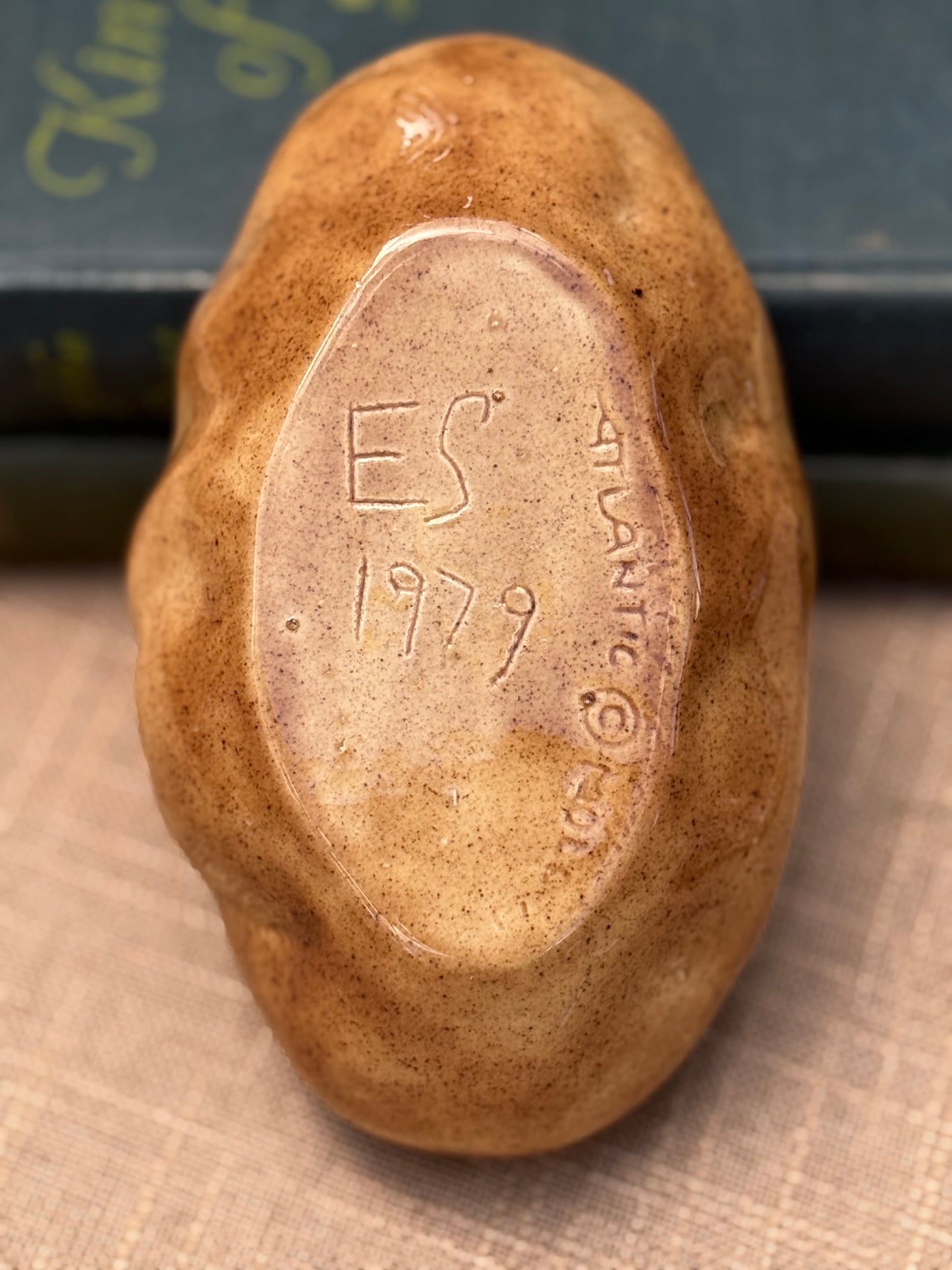 Potato Sour Cream Dish (1979)