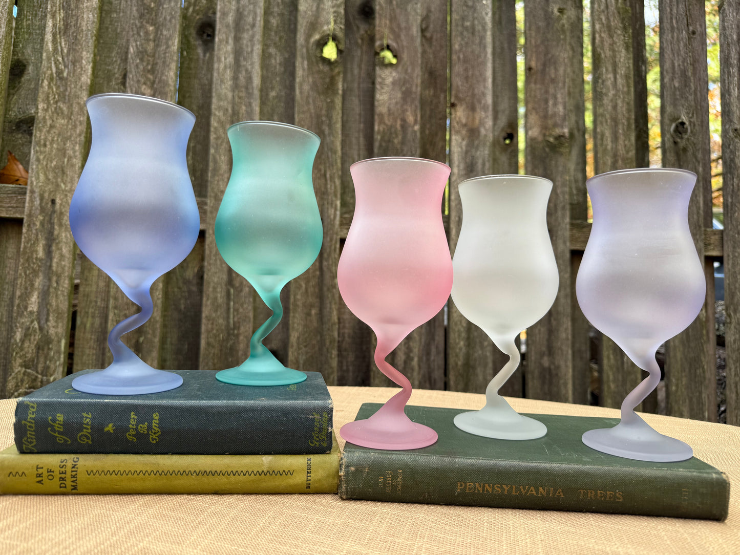 Libbey Frosted Tulip Stemware Glasses, Set of 5 (1970's-1980's)