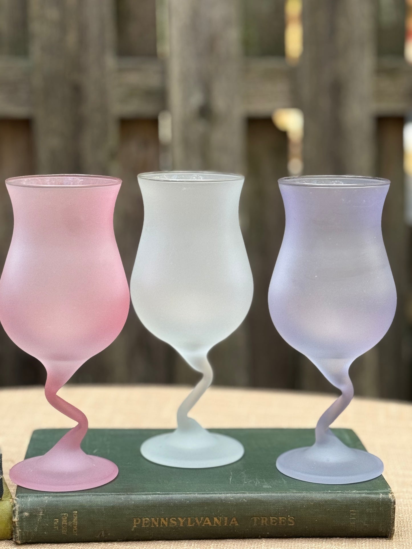 Libbey Frosted Tulip Stemware Glasses, Set of 5 (1970's-1980's)