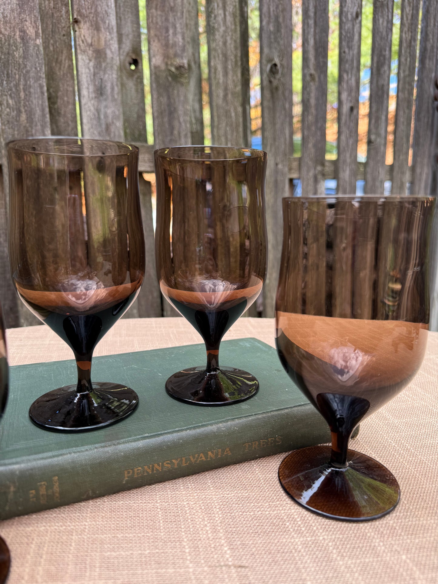 Bryce 'Ballet Brown' Crystal Iced Tea Glasses, Set of 7 (1950's-1970's)