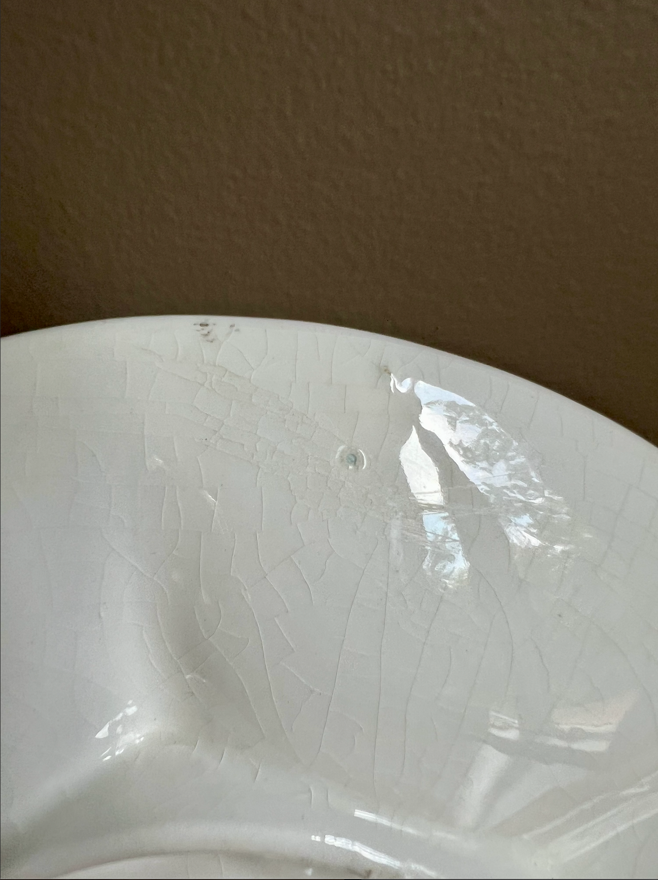 MCM Ceramic Sea Life Oyster Plate