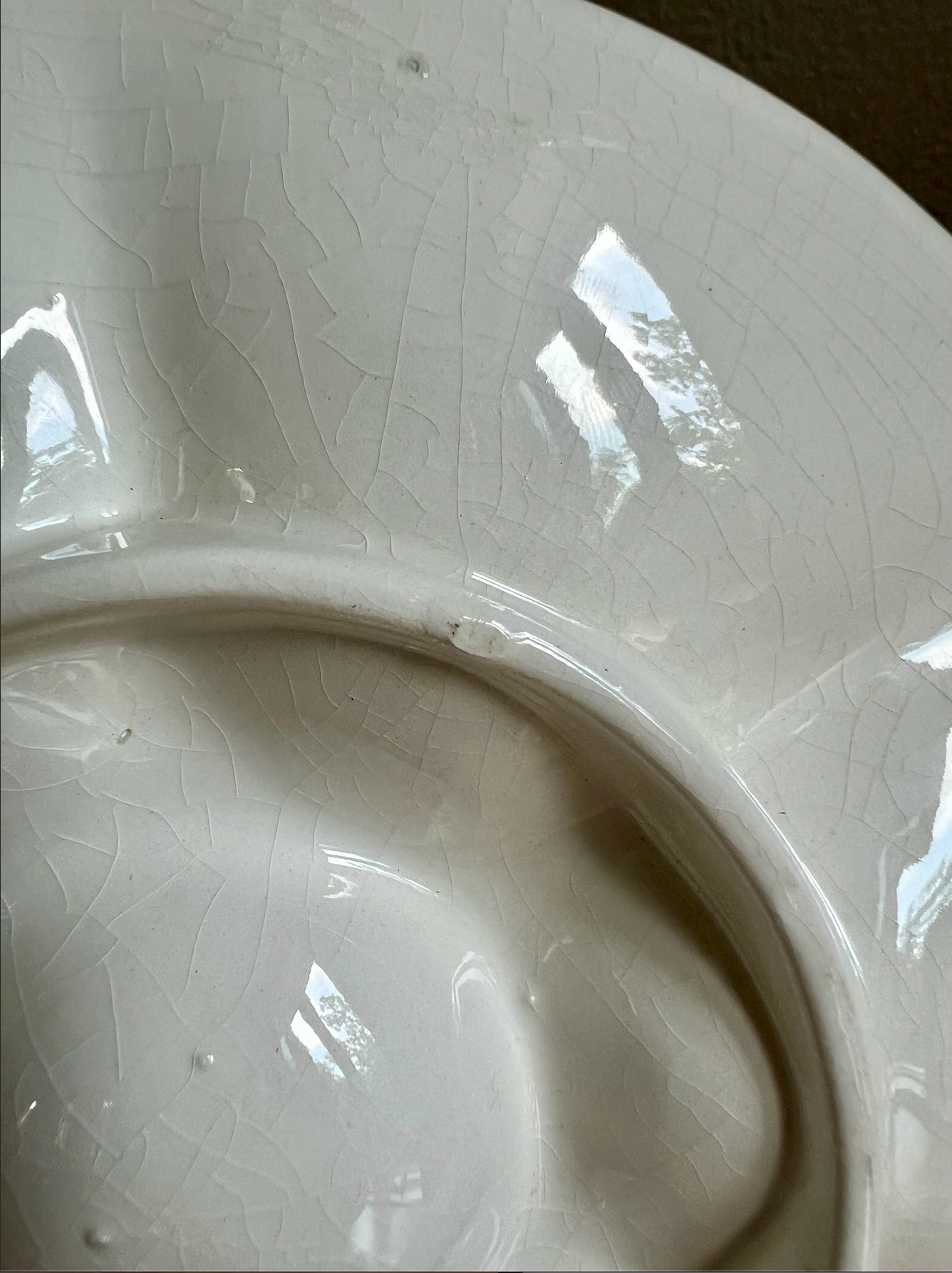 MCM Ceramic Sea Life Oyster Plate