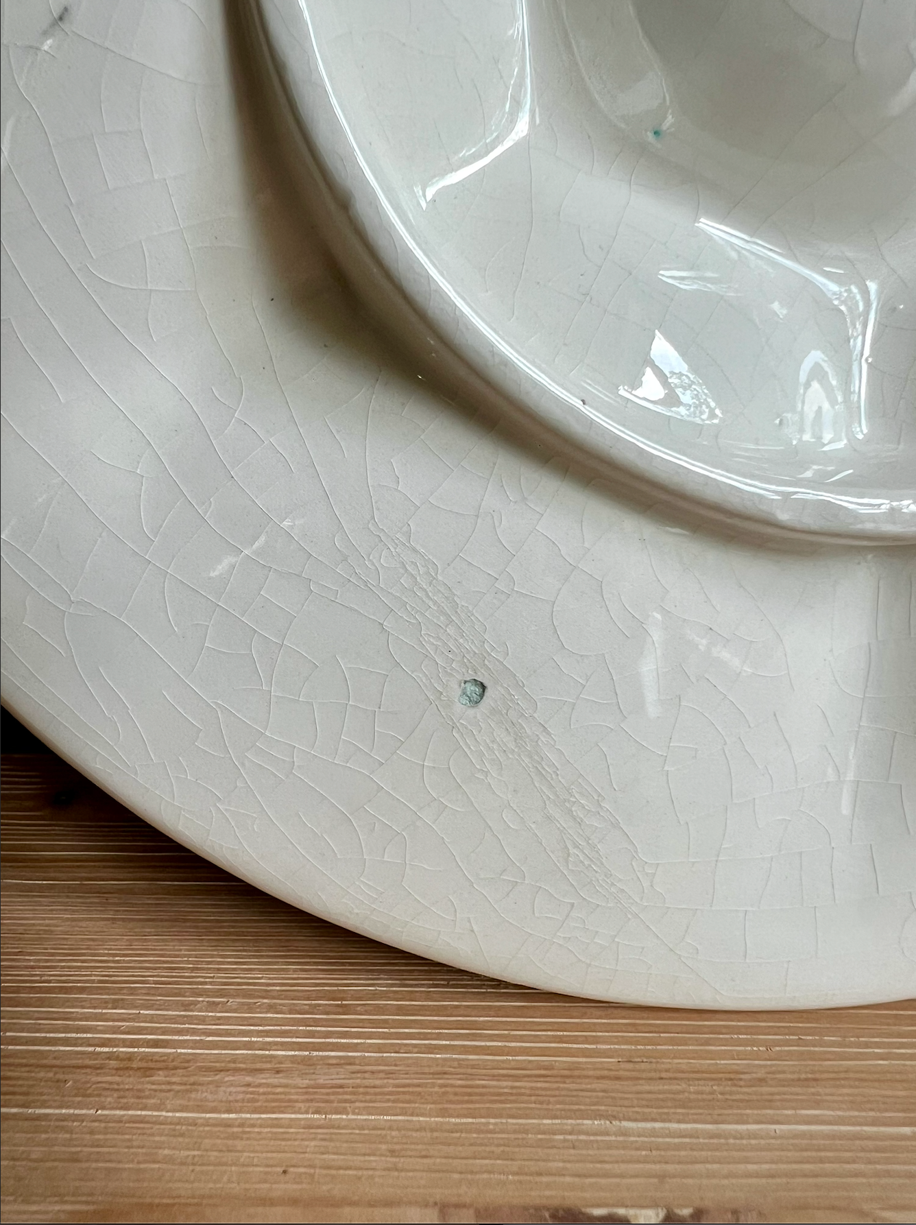 MCM Ceramic Sea Life Oyster Plate