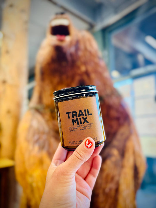 Sierra Soapbox Co. 'Trail Mix' (Spiced Chai + Santal) Candle
